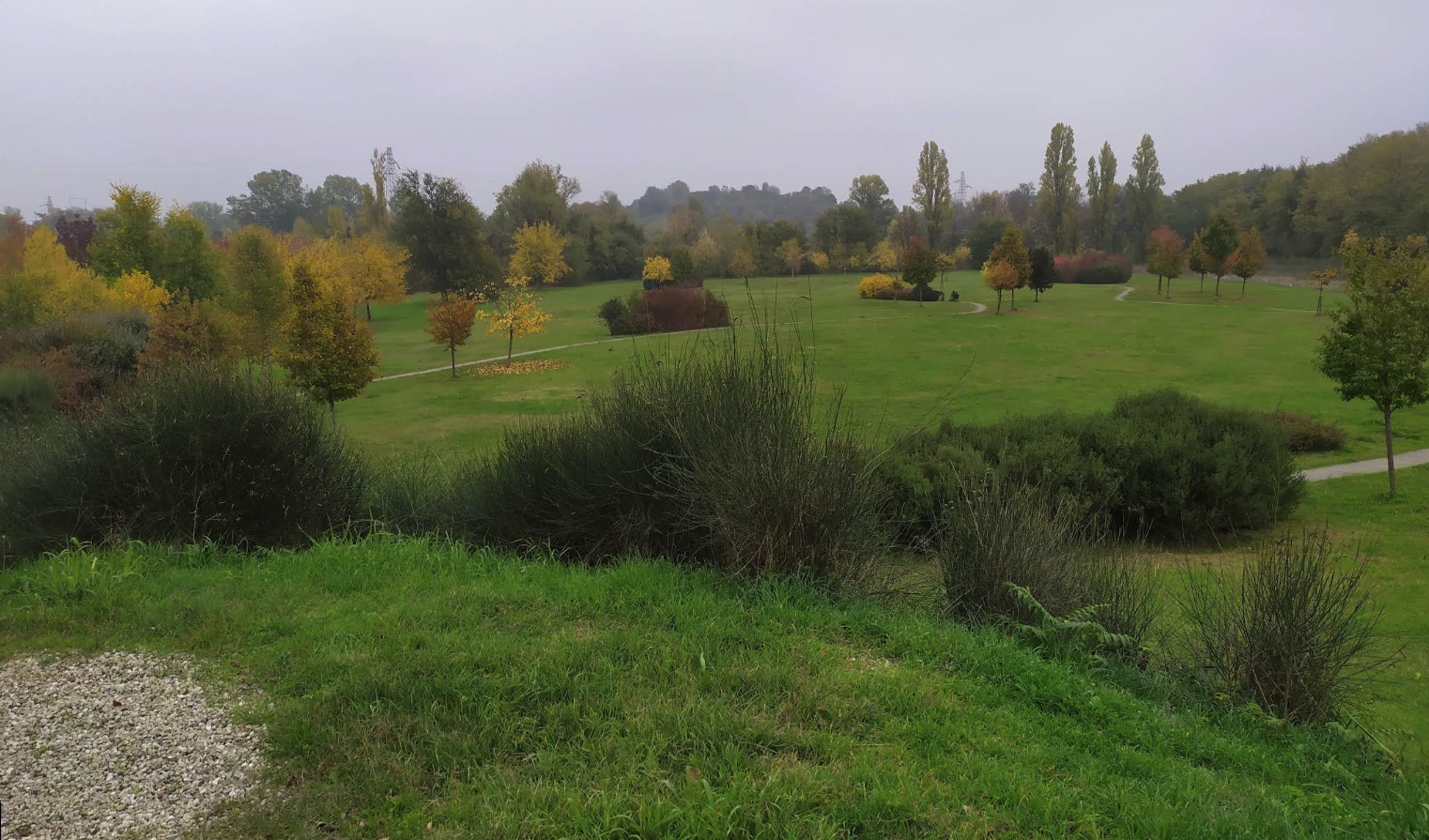 Parco dei Cedri, Quartiere Savena